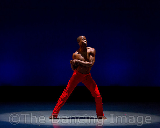 Alvin Ailey ADT-0081
