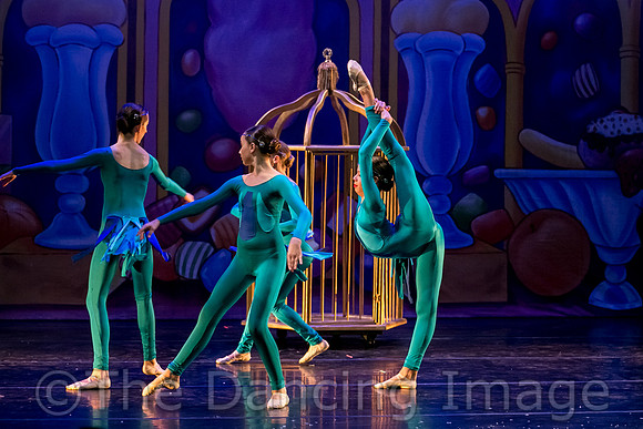 Royale Ballet Nutcracker-1851