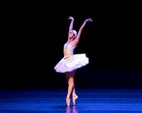 Dying Swan pc Sharen Bradford-1184