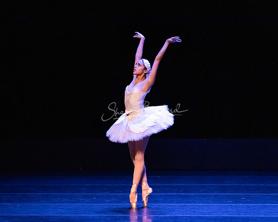 Dying Swan pc Sharen Bradford-1184