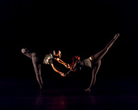 NobleMotion-2638