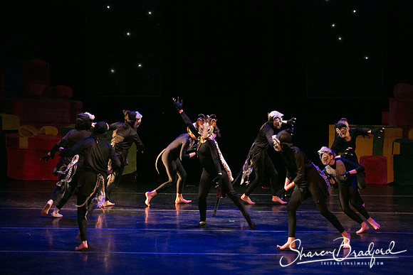 Battle Scene pc Sharen Bradford-0672