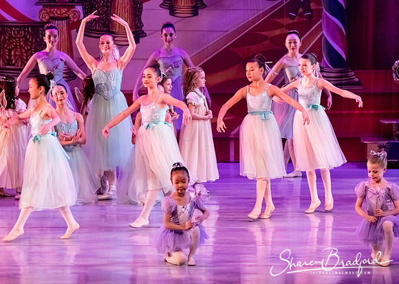 CCBT Nutcracker 19 pc Sharen Bradford-5323