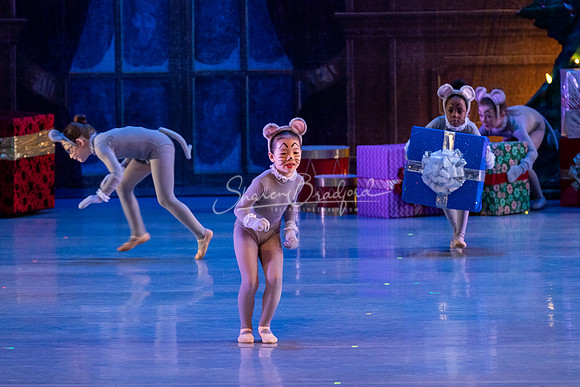 CPA Nutcracker Battle Sat pc Sharen Bradford-0931
