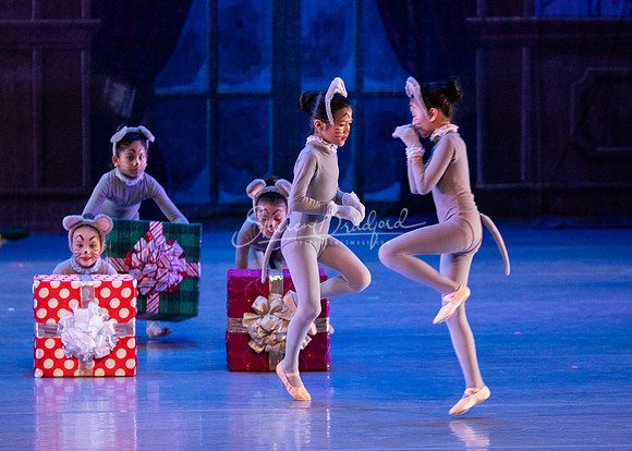 CPA Nutcracker Battle Sat pc Sharen Bradford-0935