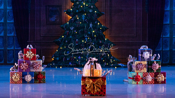 CPA Nutcracker Battle Sat pc Sharen Bradford-0979