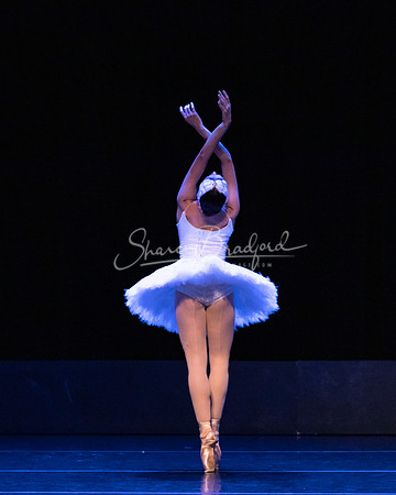 Dying Swan pc Sharen Bradford-1247