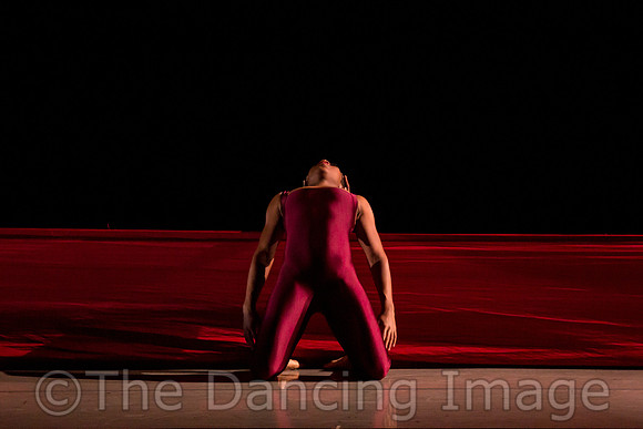 DBDT Encore-8628