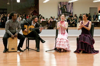 Flamenco-2-3