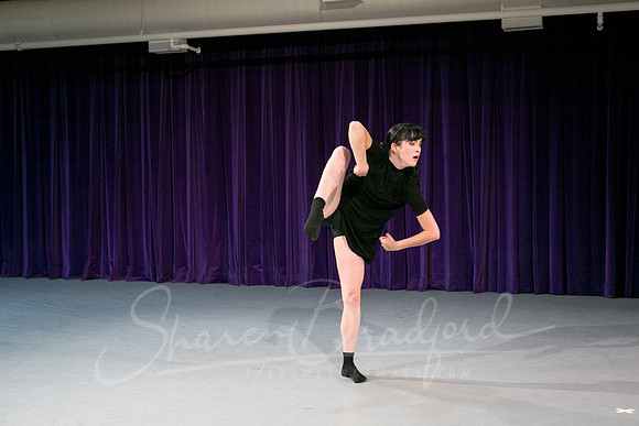 Gold Shadow pc Sharen Bradford-1677
