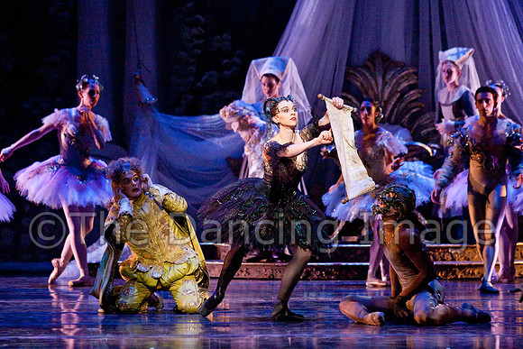 TB Sleeping Beauty Wed.-0153
