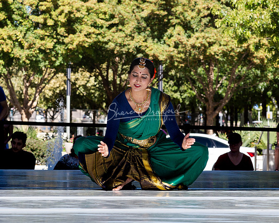 Indique Dance pc Sharen Bradford-1623
