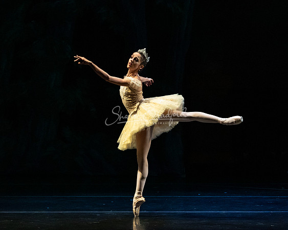 Ballet NTX Sleeping Beauty pc Sharen Bradford-1332