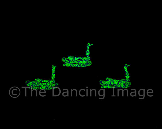 Botanica-0093