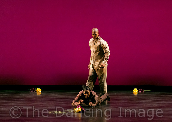 The Art of Waiting-0790