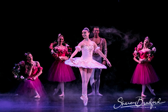 Nutcracker eve pc Sharen Bradford-6970