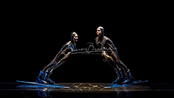 Millennium Skiva pc Sharen Bradford-8468