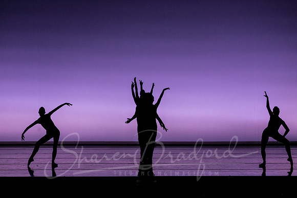 Wavelength-5031