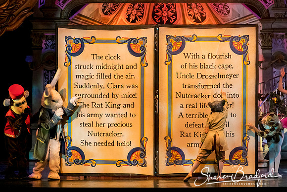 Nutcracker Battle eve pc Sharen Bradford-6491