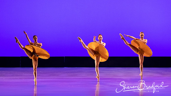 Ballet 37 pc Sharen Bradford-0273