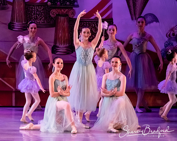 CCBT Nutcracker 19 pc Sharen Bradford-5382