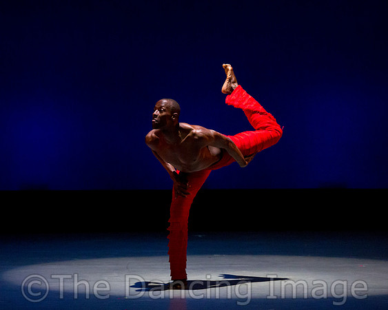 Alvin Ailey ADT-0096
