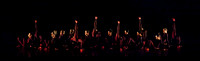 Groupo Corpo-3365