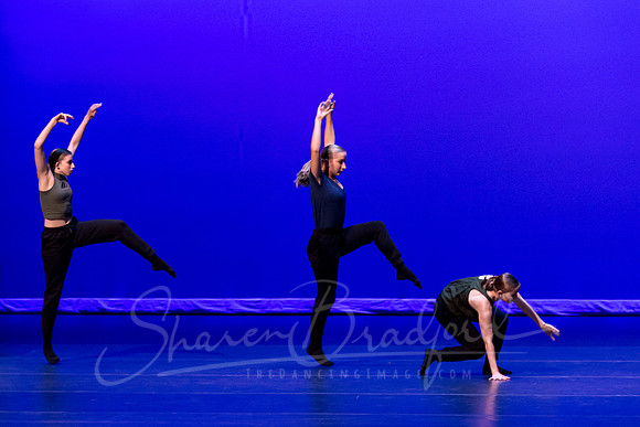 Same but Different pc Sharen Bradford-0276