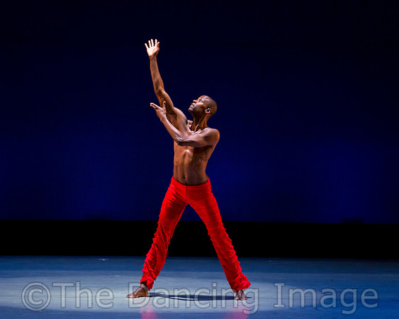 Alvin Ailey ADT-0050