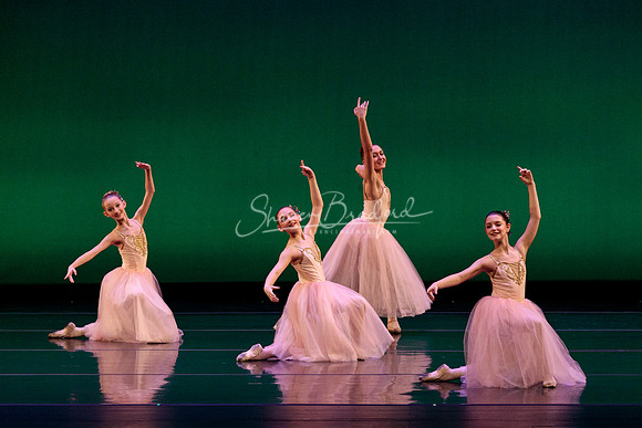 BNTX Waltz of the Hours pc Sharen Bradford-0005