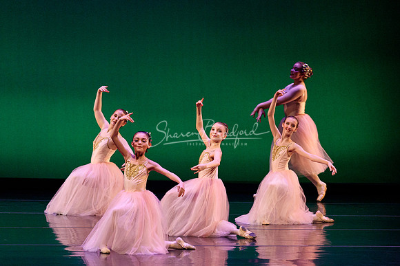 BNTX Waltz of the Hours pc Sharen Bradford-0006