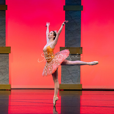 Ballet NTX Sleeping Beauty pc Sharen Bradford-0179