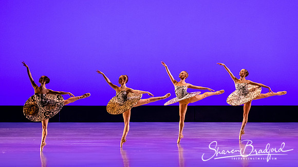 Ballet 37 pc Sharen Bradford-0270