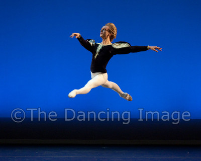 Black Swan-1211