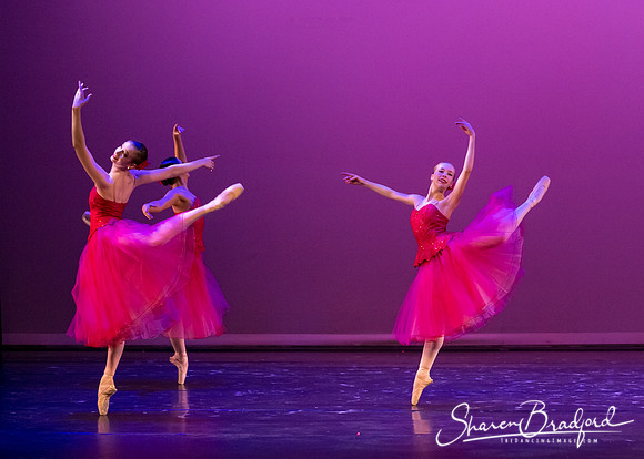 Waltz of the Flowers pc Sharen Bradford-2821
