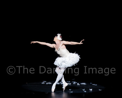 Dying Swan-0530