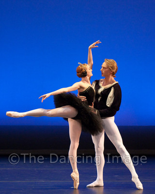 Black Swan-1138