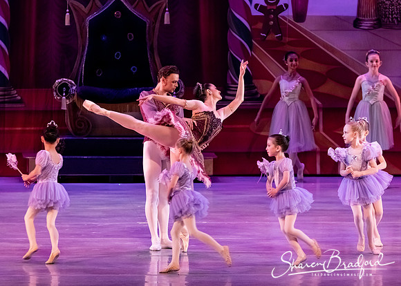 CCBT Nutcracker 19 pc Sharen Bradford-5372