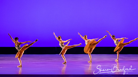 Ballet 37 pc Sharen Bradford-0280