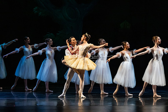 Ballet NTX Sleeping Beauty pc Sharen Bradford-1304