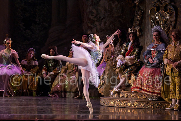 TB Sleeping Beauty Wed.-0044