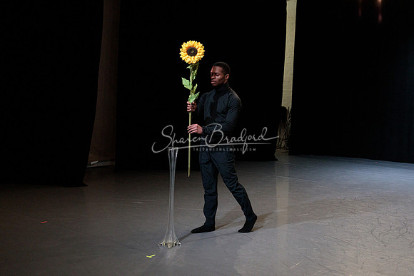 Cvjenta Vila pc Sharen Bradford-0825