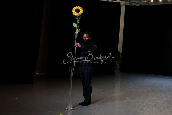 Cvjenta Vila pc Sharen Bradford-0826