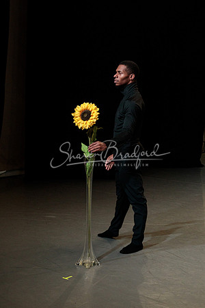 Cvjenta Vila pc Sharen Bradford-0829