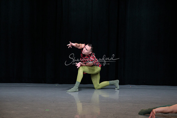 Cvjenta Vila pc Sharen Bradford-0833