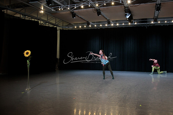 Cvjenta Vila pc Sharen Bradford-0835