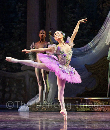 TB Sleeping Beauty Wed.-0083