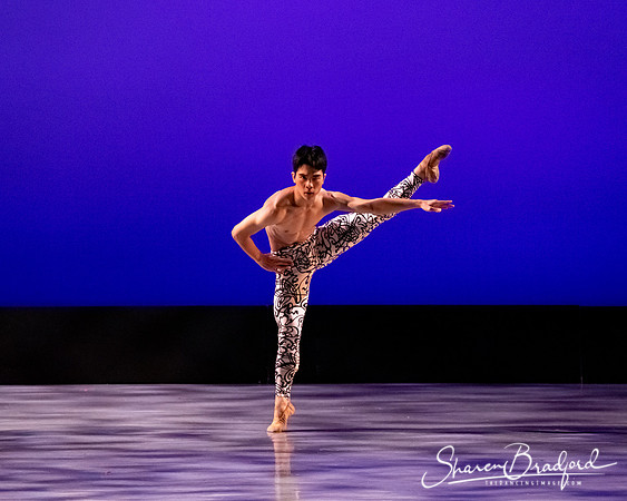 Ballet 37 pc Sharen Bradford-0467