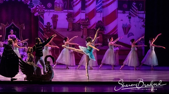 CCBT Nutcracker 19 pc Sharen Bradford-5297