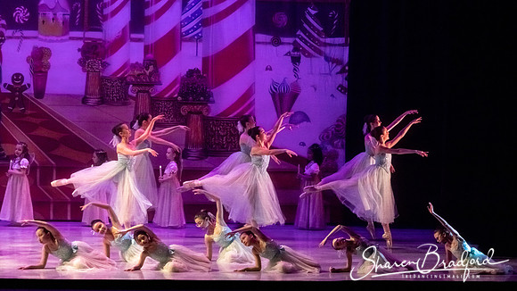 CCBT Nutcracker 19 pc Sharen Bradford-5263